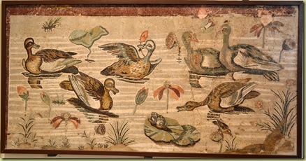 Pond with water fowl