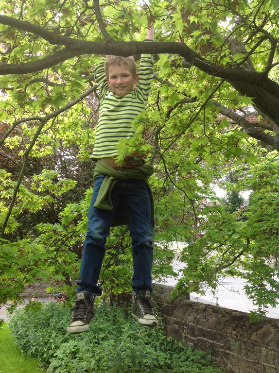 tate in may