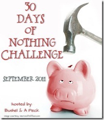 30-Days of Nothing Challenge