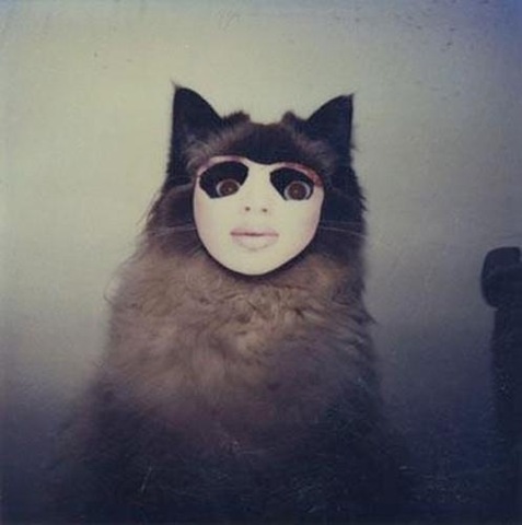 [strange-cats-expain-that-enhanced-buzz-5029-1334169426-33%255B2%255D.jpg]