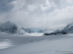 IMG_3511.JPG