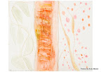 Work by Elizabeth 0'Neill