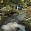 IMG_7378.jpg