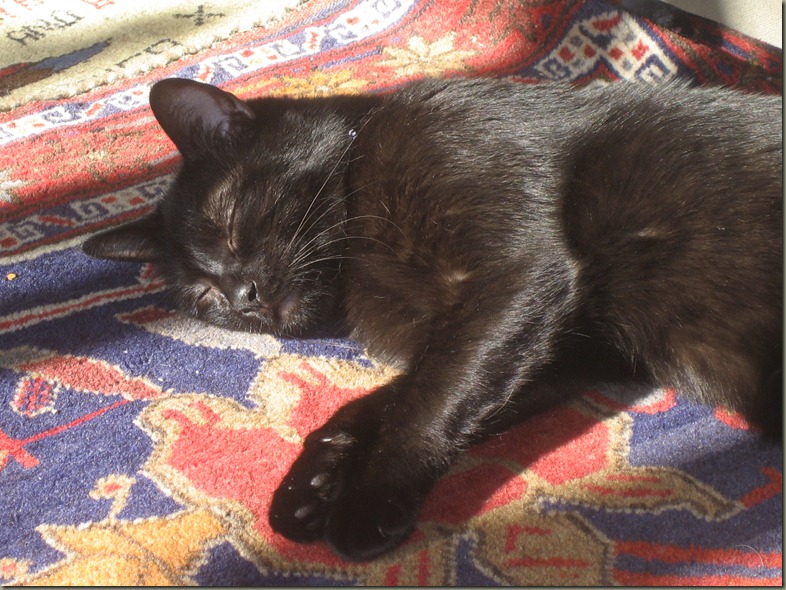 Ruthie in repose 2 Ruthie in repose 2