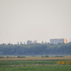 IMG_8186.JPG