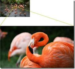 28x-optical-zoom