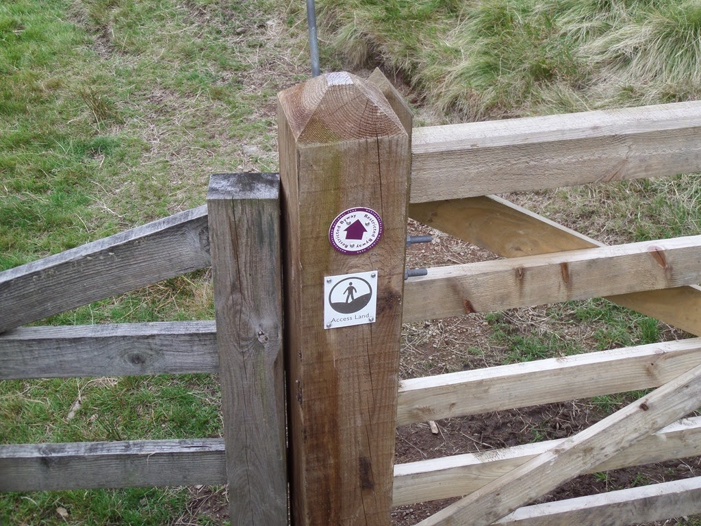 [cheviots%25202014%2520028%255B3%255D.jpg]