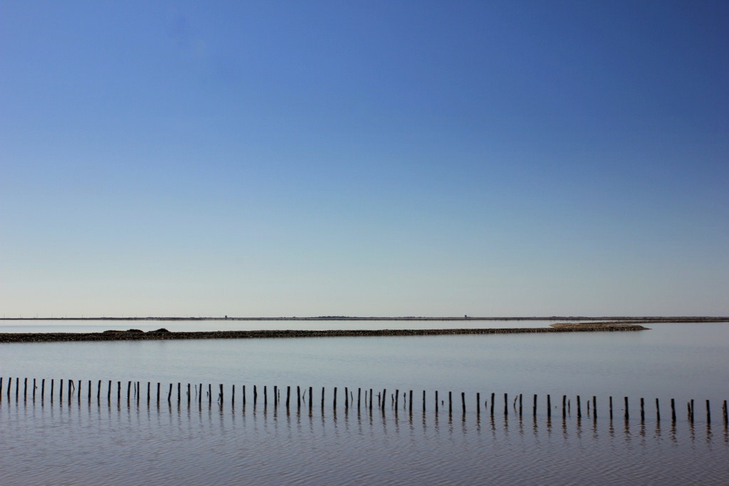 [IMG_1210%255B3%255D.jpg]