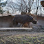Visiting The Zoo!