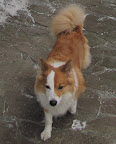 2012.02.05.13_30_30.JPG