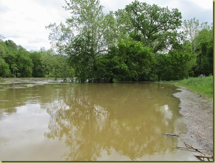 Shenandoah Flood 5-14 (2)
