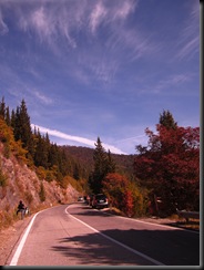IMG_1236 IMG_1236