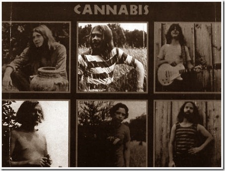 Cannabis 2