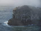 oregon_coast