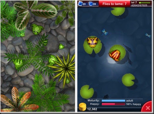 pocket frogs game for pc