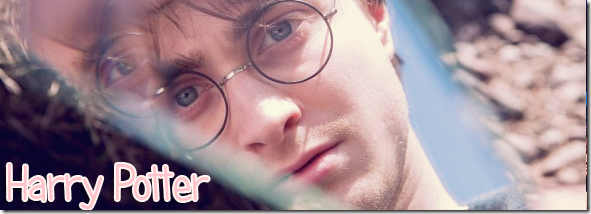 harry potter harry potter