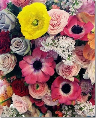 tumblr_m26uto0TcW1qh3rjlo1_500