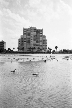 Film-34-24