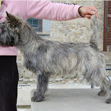 Red's Flame Pepe Nero 9 months old