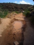 GrandCanyon-2