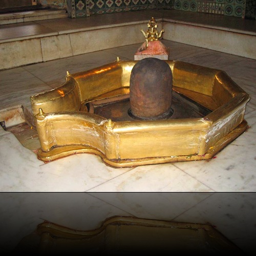 ni vrindavan50-v