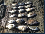 IMG-20120517-WA0007 IMG-20120517-WA0007