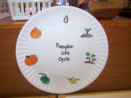 Pumpkin lifecycle from My Montessori Journey Pumpkin lifecycle from My Montessori Journey