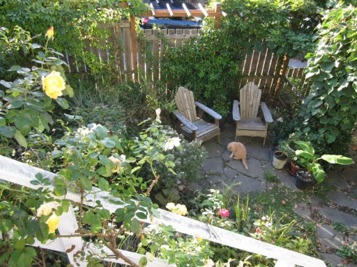 Alice from Seattle, Washington