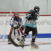 BIPNATS2011-12G20_0029.JPG