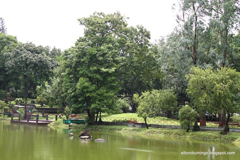 Chinese Garden Rizal Park