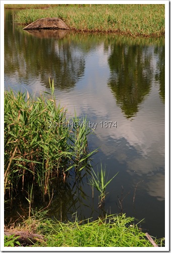 DSC_0938 DSC_0938