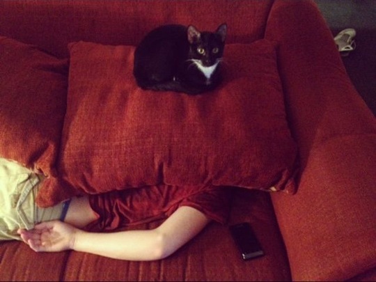 [viral-picdump-pics-2%255B2%255D.jpg]