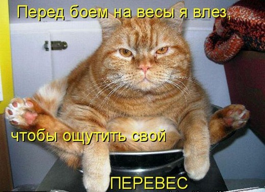[kotomatrix_1002%255B3%255D.jpg]