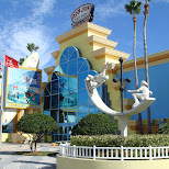 ron jon surf shop in Cocoa Beach, Florida, United States