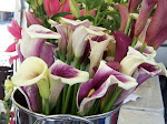 100_5273.JPG