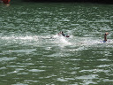 IMG_1220.jpg