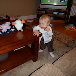 SAM_2205.JPG