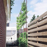 engelse tuin