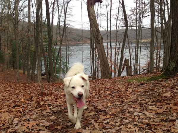 Capone and Highbanks Lake