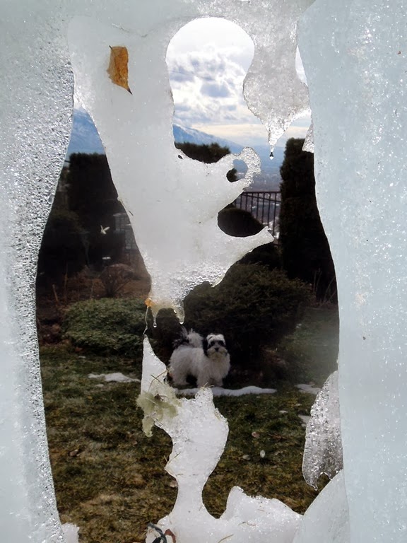 [DSCN0699%255B3%255D.jpg]