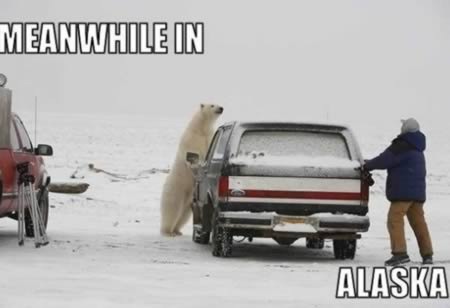 [Meanwhile-in-alaska%255B2%255D.jpg]