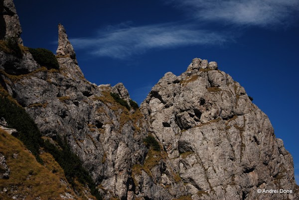 251.jpg 251.jpg