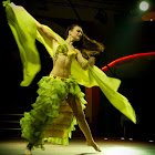 Document Name_3_217.JPG