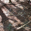 P1010013.JPG