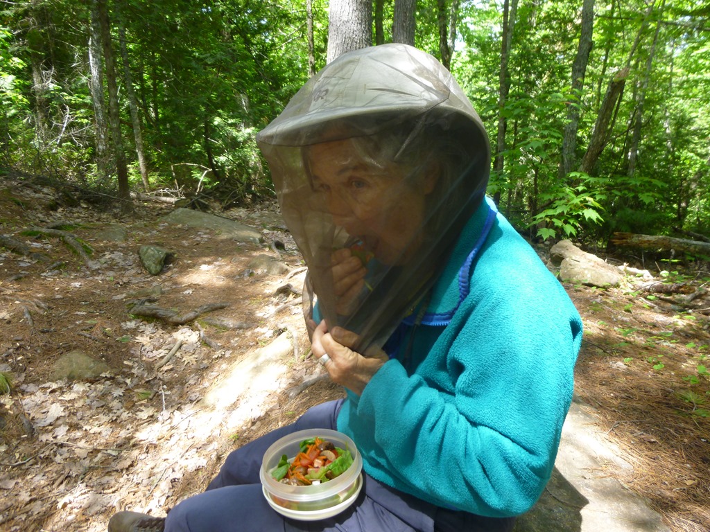 [P11300188.jpg]