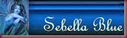 signature (1) signature (1)