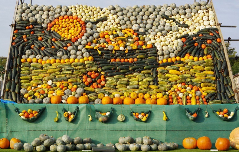 slindon-pumpkin-festival-7 slindon-pumpkin-festival-7