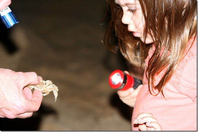 img_8805 img_8805