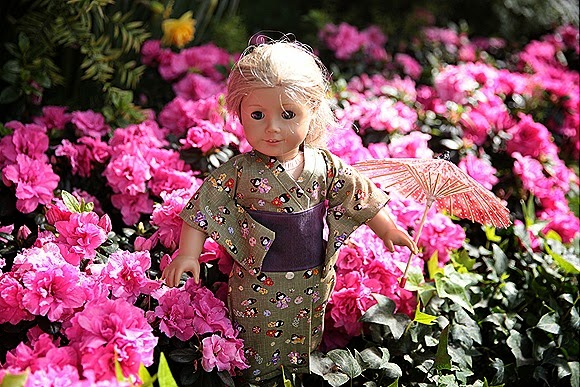 IMG_1540 IMG_1540