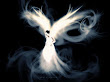 Celestial Angel Maiden